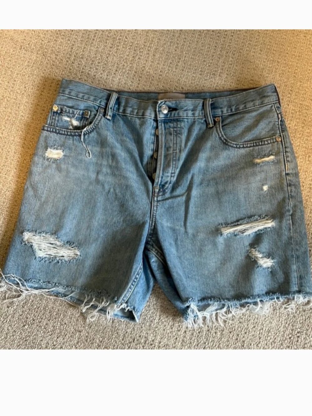Everlane Denim Walking Shorts
